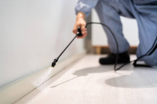 Professional exterminator conducting IPM assessment in Terre Haute
