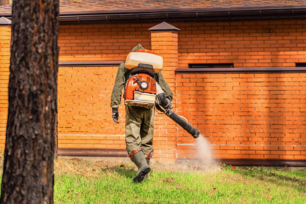 Bed Bug Clearance Verification and Documentation in Terre Haute